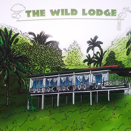 Wild Lodge Taman Negara 쿠알라타한 외부 사진